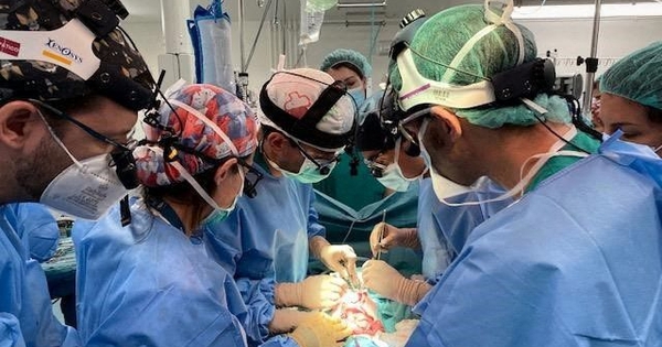 Bé 1 tuổi thành người đầu tiên trên thế giới được ghép ruột