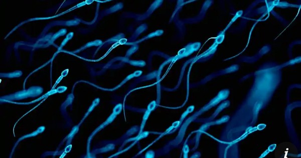 Chất chống gỉ sét làm yếu tinh trùng