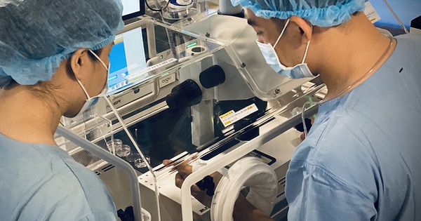 80 cặp vợ chồng hiếm muộn sẽ được thụ tinh trong ống nghiệm miễn phí