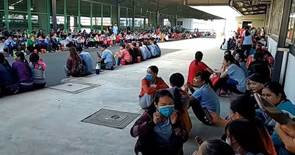 Công ty TNHH An Giang Samho lý giải việc cắt giảm lao động