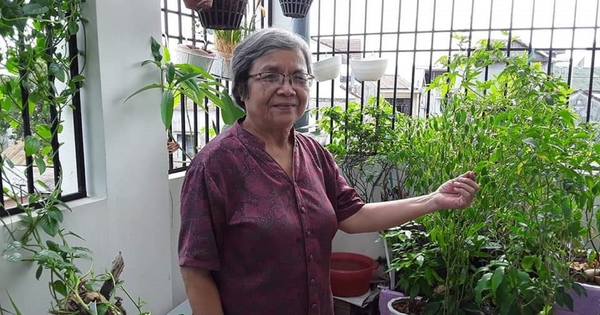 Nhân hậu với người, bình thản với đời