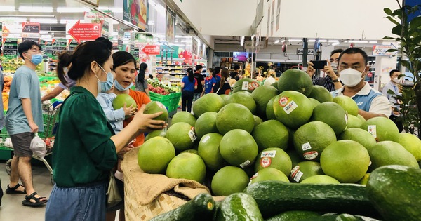 Bưởi Tết nhiều khả năng có bất ngờ về giá