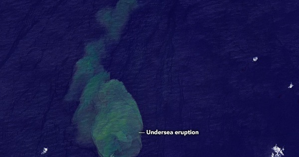 NASA captures “fire-breathing shark” in the Solomon Islands