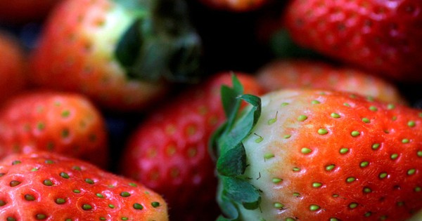 US, Canada outbreaks of hepatitis A, suspected to be related to organic strawberries