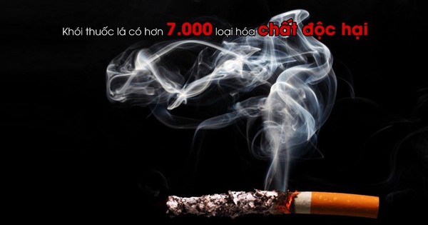 Giảm tác hại thuốc lá: ý nghĩa khi người dùng chuyển đổi sớm