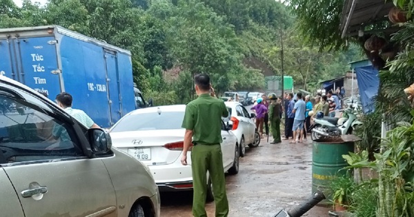 nld.com.vn