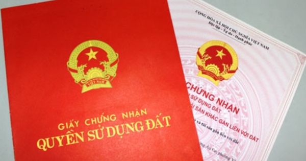 nld.com.vn