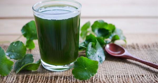 Loài cây mọc hoang ở Việt Nam chứa thần dược chống trầm cảm