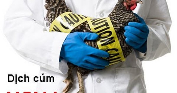 Campuchia có ca cúm A/H5N1, Viện Pasteur TP HCM ra công văn khẩn