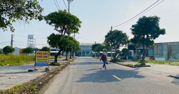 nld.com.vn