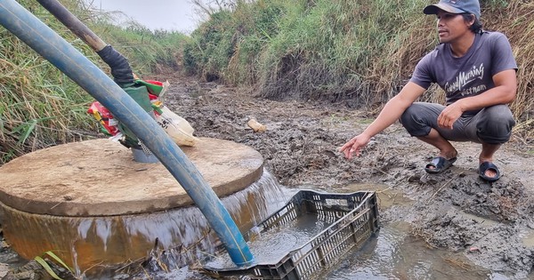 (NLĐO) – Trong khi các giếng, ao hồ xung quanh cạn kiệt thì giếng của một hộ dân ở Gia Lai bống nhiễn phun trào nước cả ngày đêm.