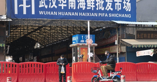 Nguồn gốc COVID-19: Trung Quốc công bố dữ liệu giật mình từ chợ Vũ Hán