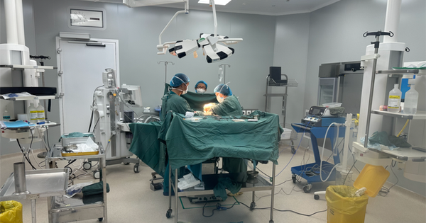 Tăng số ca mắc và tử vong vì ung thư, TP HCM triển khai 6 chiến lược