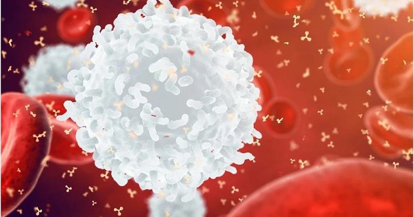 Đột phá: Virus cổ đại giúp tạo ra siêu vắc-xin ngừa và trị ung thư