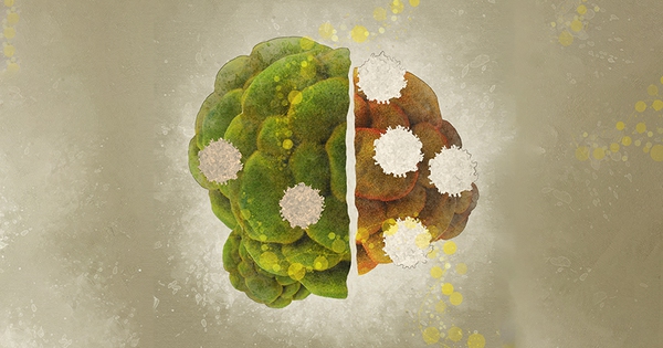 Một thuốc tiểu đường bất ngờ phát huy tác dụng diệt ung thư