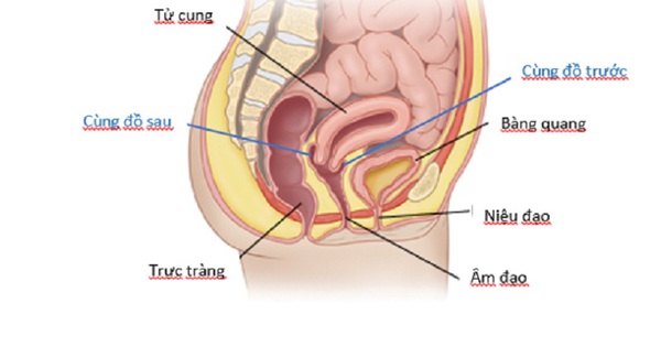 Cô gái chảy máu ổ bụng, tính mạng nguy kịch sau quan hệ tình dục