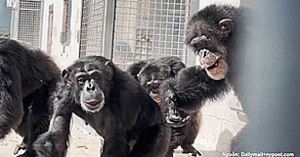 Cảm xúc vỡ òa khi lần đầu tinh tinh được nhìn thấy bầu trời ...