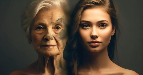 Đột phá từ Harvard/MIT: Thử nghiệm cách làm con người trẻ lại