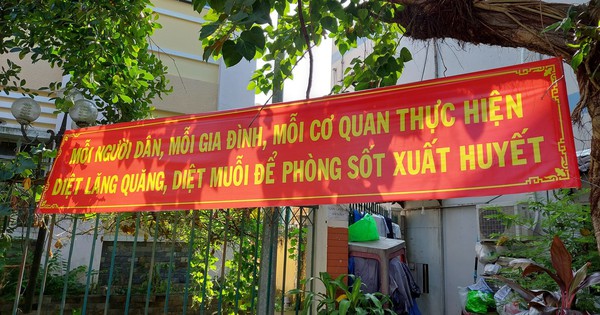 TP HCM: Hàng trăm ổ dịch tay chân miệng, lăng quăng ở khắp nơi