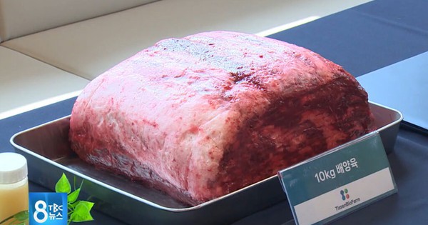 Châu Á hướng tới protein thay thế thịt
