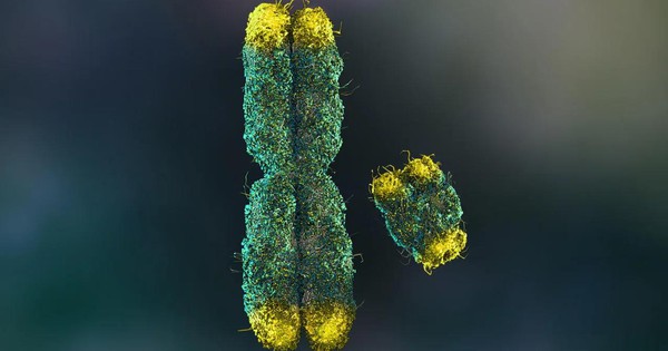 Đột phá từ 100 nhà khoa học: Giải mã bí ẩn lớn nhất của quý ông