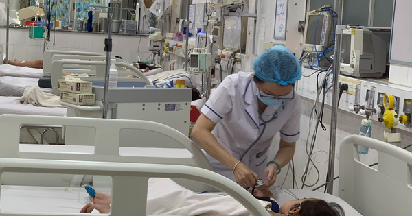 14 ca tử vong do sốt xuất huyết ở địa phương nào?