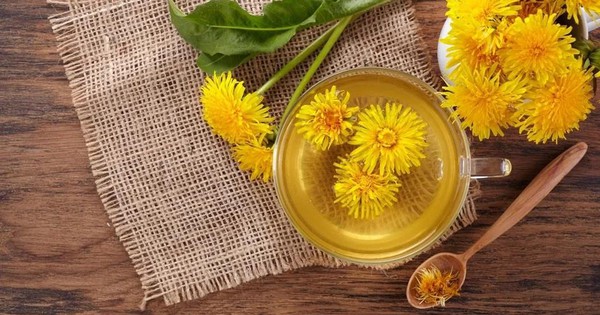 Loại trà hoa người Việt hay dùng có chất chống di căn ung thư