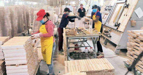 Bình Định: Thưởng Tết Nguyên đán cao nhất gần 123 triệu đồng