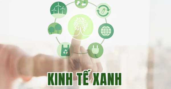 Kinh tế xanh đang sôi động, thu hút nhà đầu tư, doanh nghiệp tham gia