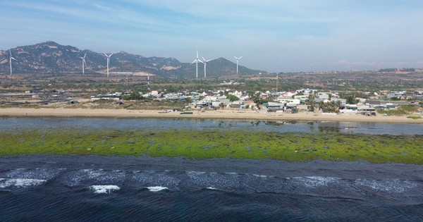 Bảo vệ môi trường, giữ gìn 