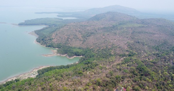 Giữ 