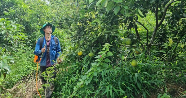 Nhiều lợi ích khi dùng chế phẩm sinh học
