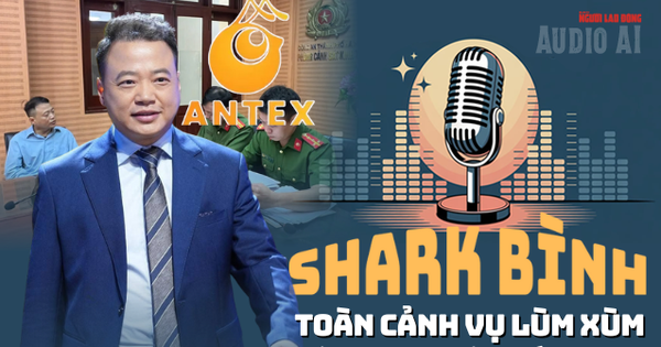 Audio: Không chỉ đứng sau "cú sập" AntEx, Shark Bình còn vướng cáo buộc nào khác?