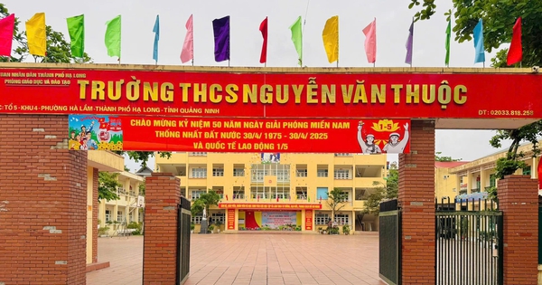nld.com.vn