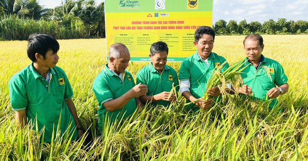 Cấp thiết giảm phát thải khí mê-tan