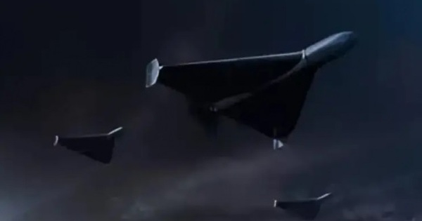 Egizaklarda jinsiy olatni kattaligi