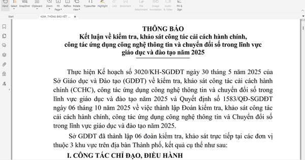 Bất ngờ kết luận kiểm tra nhiệm vụ giảng dạy của nhiều hiệu trưởng, phó hiệu trưởng ở TP HCM