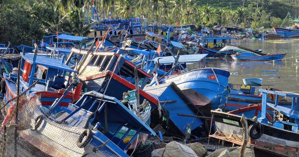 Thủ phủ tôm hùm "bay" hơn 20 tỉ đồng chỉ 1 đêm bão số 13