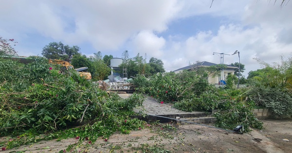 Đang cưỡng chế thu hồi hơn 66.000 m² đất lấn chiếm tại Đồi Cát Bay Mũi Né