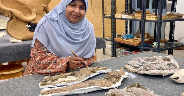 Quái vật 80 triệu tuổi "trỗi dậy" ở  Ai Cập