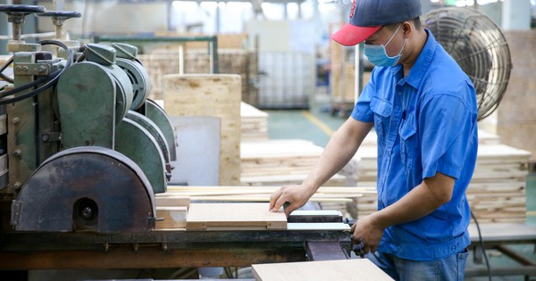 Kinh tế tư nhân - Động lực phải thành thực tế