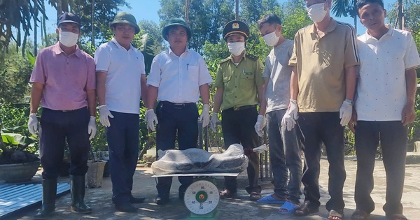 Người đàn ông ở Huế bất ngờ bắt được trăng "khủng" trong vườn nhà