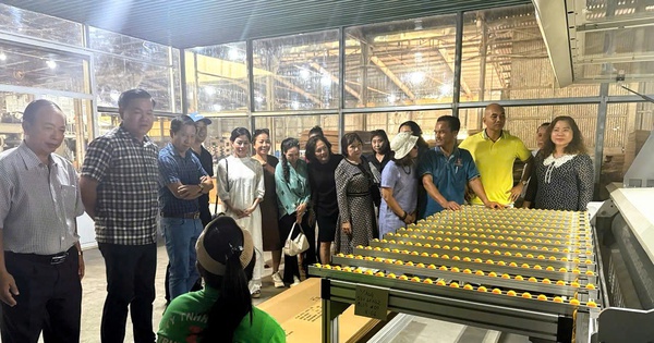 Hội Doanh nghiệp Bình Thuận - tỉnh Lâm Đồng: Gắn kết, lắng nghe và sẻ chia cùng hội viên