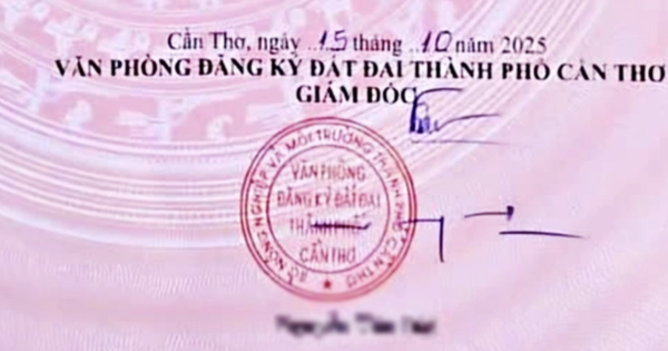 Vụ giám đốc ở Cần Thơ có chữ ký "thấy kỳ kỳ": Luật sư và bạn đọc bày tỏ ý kiến