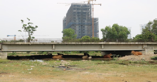 Vành đai 2 - TP HCM chuẩn bị khởi công