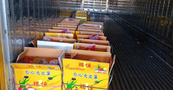 Nhiều tài xế container tố bị “bẫy” khi chở thanh long sang cửa khẩu