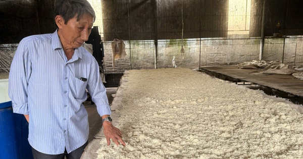 Rượu Hòa Long thơm cay nồng nàn