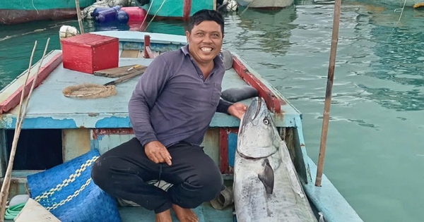 Một mình vật lộn giữa biển Phú Quý câu được "quái vật" cá thu gần 60 kg