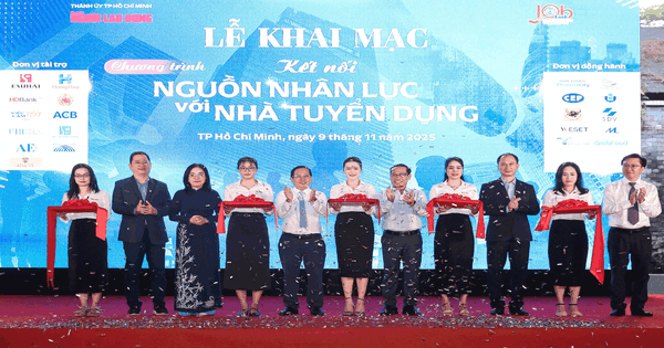 Kết nối hiệu quả nguồn nhân lực - nhà tuyển dụng