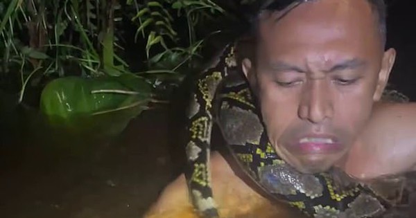 Cảnh tượng kinh hoàng: Trăn khổng lồ kéo người trên thuyền xuống sông ở Indonesia